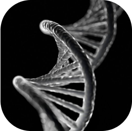 DNA Test